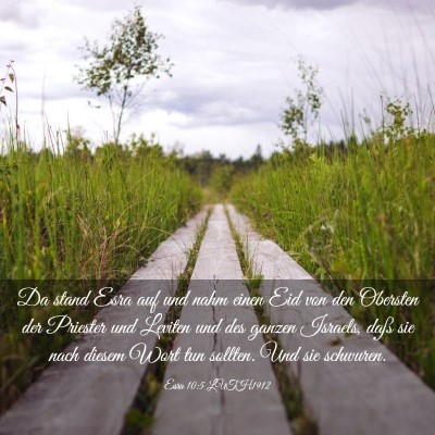 Picture 03 - Esra 10:5 LUTH1912 - Da stand Esra auf und nahm einen Eid von den - Bible Verse Picture