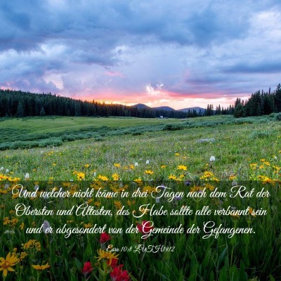 Picture 03 - Esra 10:8 LUTH1912 - Und welcher nicht käme in drei Tagen nach dem - Bible Verse Picture