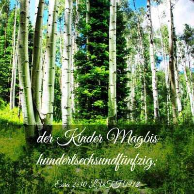 Picture 03 - Esra 2:30 LUTH1912 - der Kinder Magbis - Bible Verse Picture