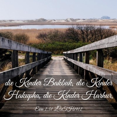 Picture 03 - Esra 2:51 LUTH1912 - die Kinder Bakbuk, die Kinder Hakupha, die Kinder - Bible Verse Picture