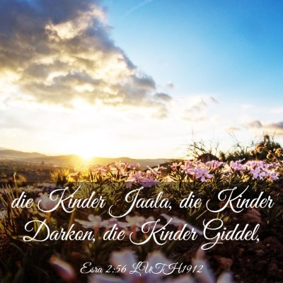 Picture 03 - Esra 2:56 LUTH1912 - die Kinder Jaala, die Kinder Darkon, die Kinder - Bible Verse Picture
