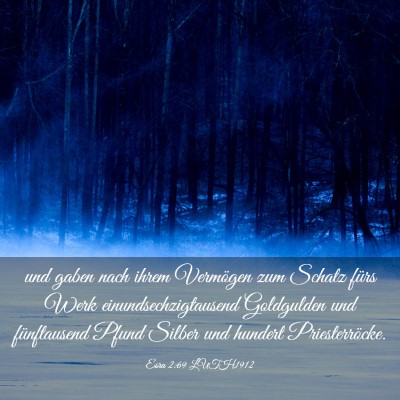 Picture 03 - Esra 2:69 LUTH1912 - und gaben nach ihrem Vermögen zum Schatz fürs - Bible Verse Picture