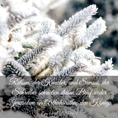 Picture 03 - Esra 4:8 LUTH1912 - Rehum, der Kanzler, und Simsai, der Schreiber - Bible Verse Picture