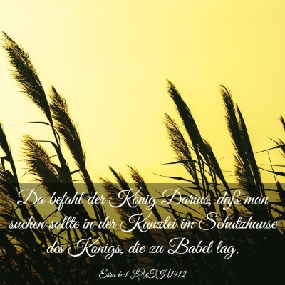 Picture 03 - Esra 6:1 LUTH1912 - Da befahl der König Darius, daß man suchen - Bible Verse Picture