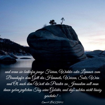 Picture 03 - Esra 6:9 LUTH1912 - und wenn sie bedürfen junge Farren, Widder oder - Bible Verse Picture