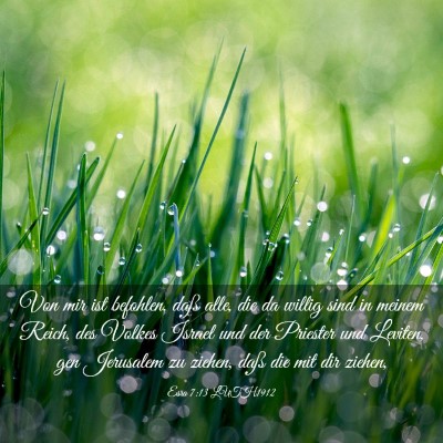 Picture 03 - Esra 7:13 LUTH1912 - Von mir ist befohlen, daß alle, die da willig - Bible Verse Picture