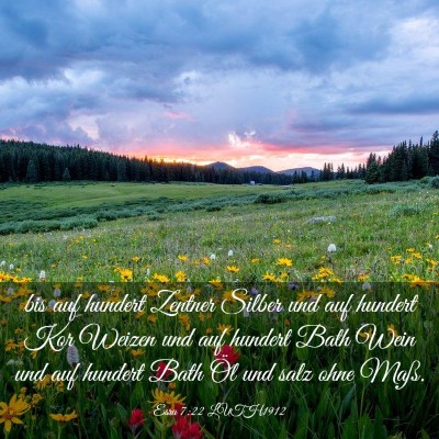 Picture 03 - Esra 7:22 LUTH1912 - bis auf hundert Zentner Silber und auf hundert - Bible Verse Picture