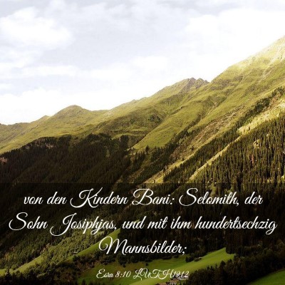 Picture 03 - Esra 8:10 LUTH1912 - von den Kindern Bani: Selomith, der Sohn - Bible Verse Picture