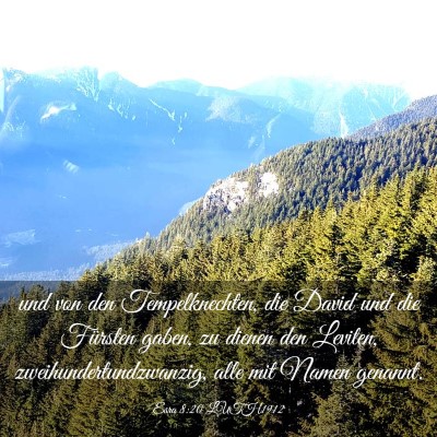 Picture 03 - Esra 8:20 LUTH1912 - und von den Tempelknechten, die David und die - Bible Verse Picture