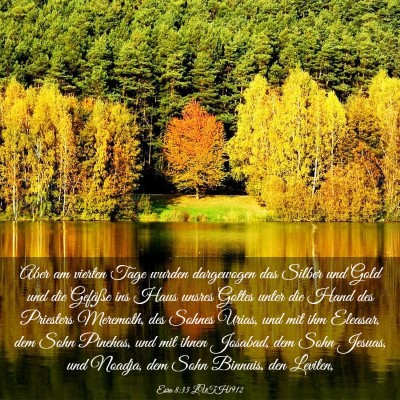 Picture 03 - Esra 8:33 LUTH1912 - Aber am vierten Tage wurden dargewogen das Silber - Bible Verse Picture