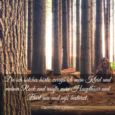 Picture 03 - Esra 9:3 LUTH1912 - Da ich solches hörte, zerriß ich mein Kleid und - Bible Verse Picture