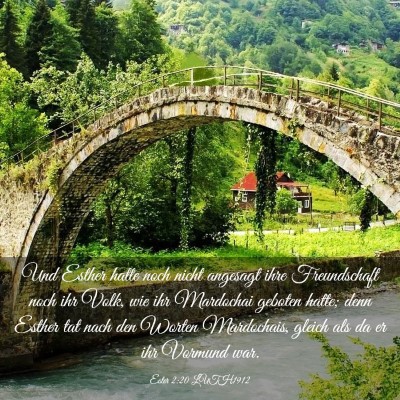Picture 03 - Ester 2:20 LUTH1912 - Und Esther hatte noch nicht angesagt ihre - Bible Verse Picture