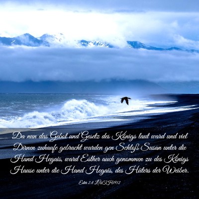 Picture 03 - Ester 2:8 LUTH1912 - Da nun das Gebot und Gesetz des Königs laut ward - Bible Verse Picture