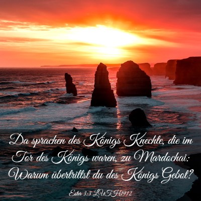 Picture 03 - Ester 3:3 LUTH1912 - Da sprachen des Königs Knechte, die im Tor des - Bible Verse Picture