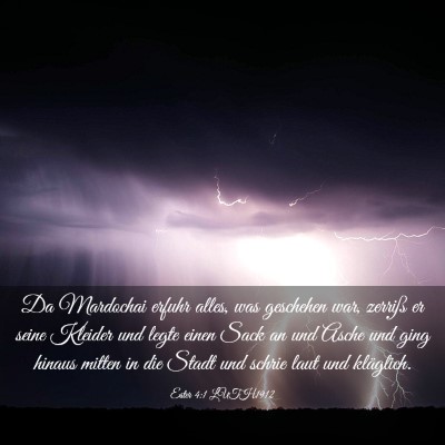 Picture 03 - Ester 4:1 LUTH1912 - Da Mardochai erfuhr alles, was geschehen war, - Bible Verse Picture