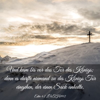 Picture 03 - Ester 4:2 LUTH1912 - Und kam bis vor das Tor des Königs; denn es - Bible Verse Picture