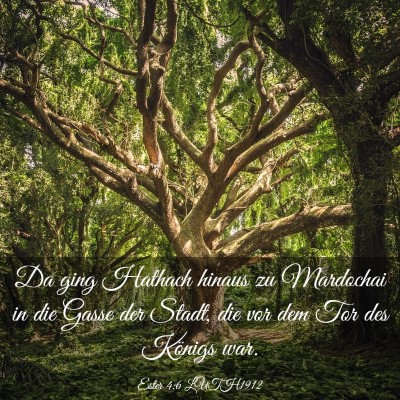 Picture 03 - Ester 4:6 LUTH1912 - Da ging Hathach hinaus zu Mardochai in die Gasse - Bible Verse Picture