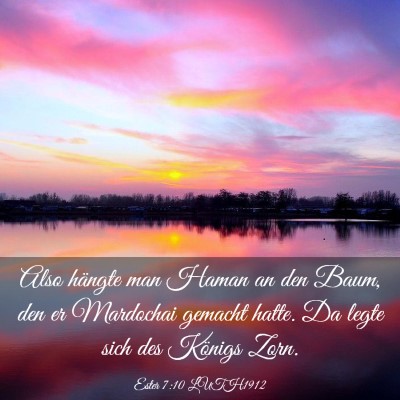 Picture 03 - Ester 7:10 LUTH1912 - Also hängte man Haman an den Baum, den er - Bible Verse Picture