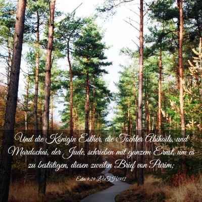 Picture 03 - Ester 9:29 LUTH1912 - Und die Königin Esther, die Tochter Abihails, - Bible Verse Picture