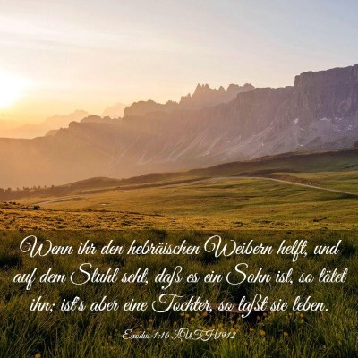 Picture 03 - Exodus 1:16 LUTH1912 - Wenn ihr den hebräischen Weibern helft, und auf - Bible Verse Picture