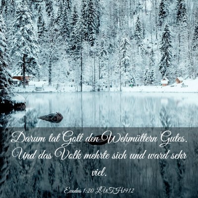 Picture 03 - Exodus 1:20 LUTH1912 - Darum tat Gott den Wehmüttern Gutes. Und das - Bible Verse Picture