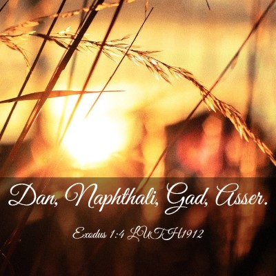 Picture 03 - Exodus 1:4 LUTH1912 - Dan, Naphthali, Gad, - Bible Verse Picture
