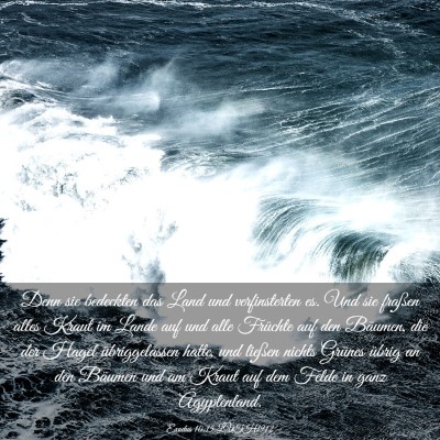 Picture 03 - Exodus 10:15 LUTH1912 - Denn sie bedeckten das Land und verfinsterten es. - Bible Verse Picture