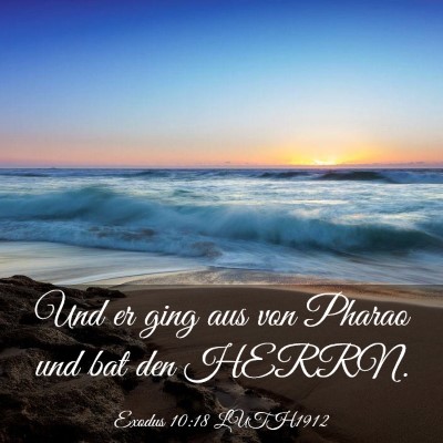 Picture 03 - Exodus 10:18 LUTH1912 - Und er ging aus von Pharao und bat den - Bible Verse Picture
