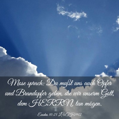 Picture 03 - Exodus 10:25 LUTH1912 - Mose sprach: Du mußt uns auch Opfer und - Bible Verse Picture