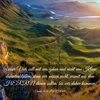 Picture 03 - Exodus 10:26 LUTH1912 - Unser Vieh soll mit uns gehen und nicht eine - Bible Verse Picture