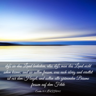 Picture 03 - Exodus 10:5 LUTH1912 - daß sie das Land bedecken, also daß man das - Bible Verse Picture