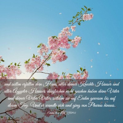 Picture 03 - Exodus 10:6 LUTH1912 - und sollen erfüllen dein Haus, aller deiner - Bible Verse Picture