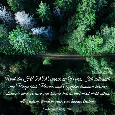 Picture 03 - Exodus 11:1 LUTH1912 - Und der HERR sprach zu Mose: Ich will noch eine - Bible Verse Picture