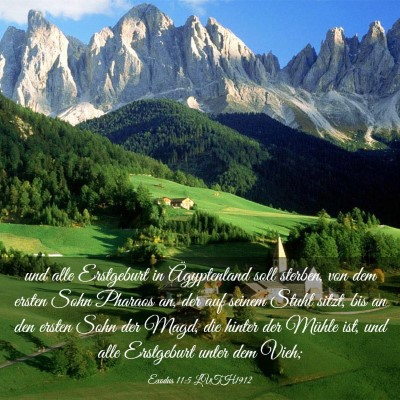 Picture 03 - Exodus 11:5 LUTH1912 - und alle Erstgeburt in Ägyptenland soll sterben, - Bible Verse Picture