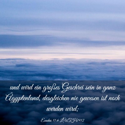 Picture 03 - Exodus 11:6 LUTH1912 - und wird ein großes Geschrei sein in ganz - Bible Verse Picture