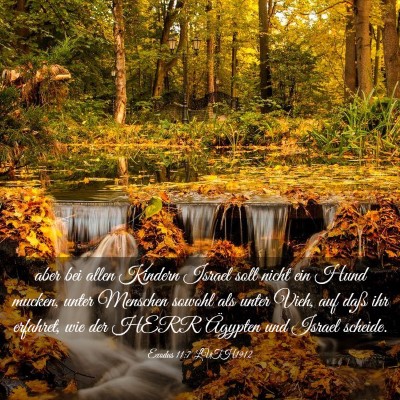Picture 03 - Exodus 11:7 LUTH1912 - aber bei allen Kindern Israel soll nicht ein Hund - Bible Verse Picture