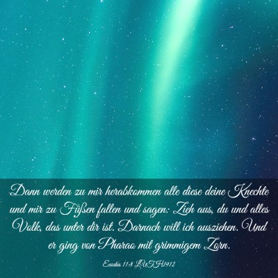 Picture 03 - Exodus 11:8 LUTH1912 - Dann werden zu mir herabkommen alle diese deine - Bible Verse Picture