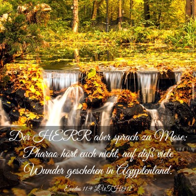 Picture 03 - Exodus 11:9 LUTH1912 - Der HERR aber sprach zu Mose: Pharao hört euch - Bible Verse Picture