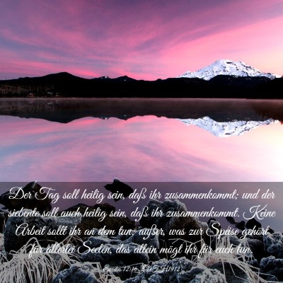 Picture 03 - Exodus 12:16 LUTH1912 - Der Tag soll heilig sein, daß ihr zusammenkommt; - Bible Verse Picture