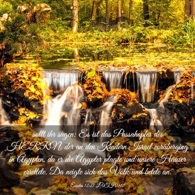 Picture 03 - Exodus 12:27 LUTH1912 - sollt ihr sagen: Es ist das Passahopfer des - Bible Verse Picture