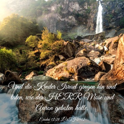 Picture 03 - Exodus 12:28 LUTH1912 - Und die Kinder Israel gingen hin und taten, wie - Bible Verse Picture