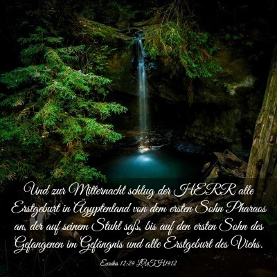 Picture 03 - Exodus 12:29 LUTH1912 - Und zur Mitternacht schlug der HERR alle - Bible Verse Picture