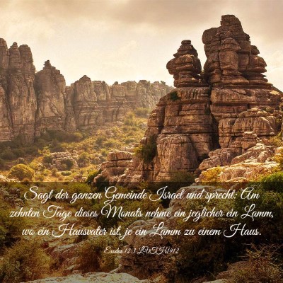 Picture 03 - Exodus 12:3 LUTH1912 - Sagt der ganzen Gemeinde Israel und sprecht: Am - Bible Verse Picture