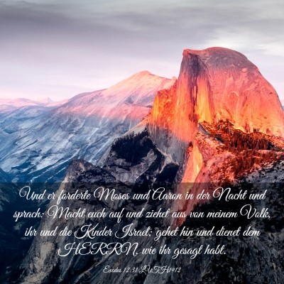 Picture 03 - Exodus 12:31 LUTH1912 - Und er forderte Moses und Aaron in der Nacht und - Bible Verse Picture