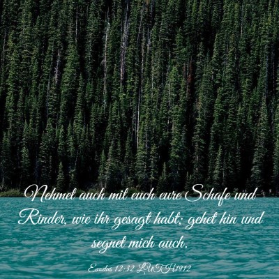 Picture 03 - Exodus 12:32 LUTH1912 - Nehmet auch mit euch eure Schafe und Rinder, wie - Bible Verse Picture