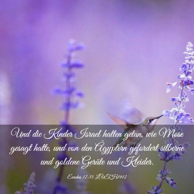 Picture 03 - Exodus 12:35 LUTH1912 - Und die Kinder Israel hatten getan, wie Mose - Bible Verse Picture