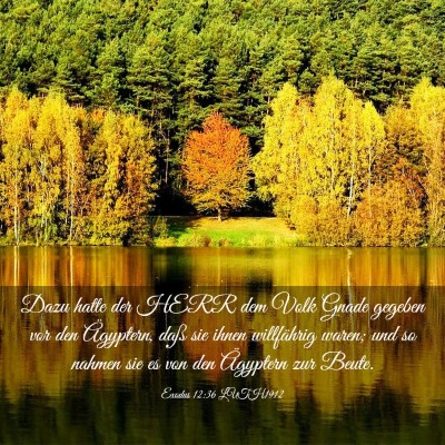 Picture 03 - Exodus 12:36 LUTH1912 - Dazu hatte der HERR dem Volk Gnade gegeben vor - Bible Verse Picture