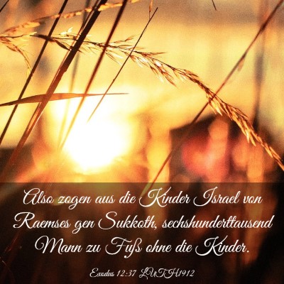 Picture 03 - Exodus 12:37 LUTH1912 - Also zogen aus die Kinder Israel von Raemses gen - Bible Verse Picture