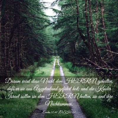 Picture 03 - Exodus 12:42 LUTH1912 - Darum wird diese Nacht dem HERRN gehalten, daß - Bible Verse Picture