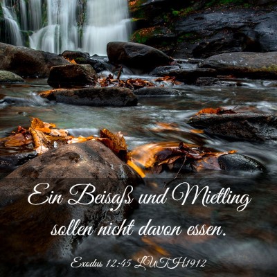 Picture 03 - Exodus 12:45 LUTH1912 - Ein Beisaß und Mietling sollen nicht davon - Bible Verse Picture